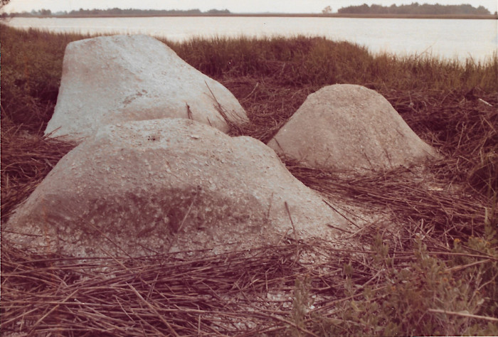 Three dome-shaped concrete mounds sit among marsh grasses near water, part of Beverly Buchanan’s ‘Marsh Ruins’ earthwork
