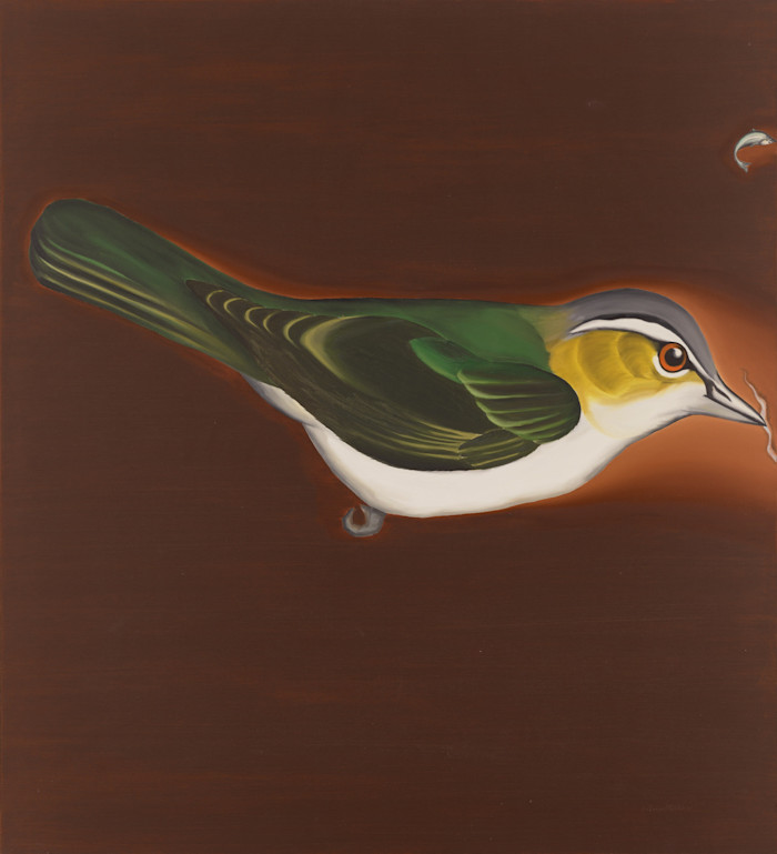 An illustration showing a stylised bird with green, yellow, and white feathers drinking from a brown surface with a small fish leaping away.