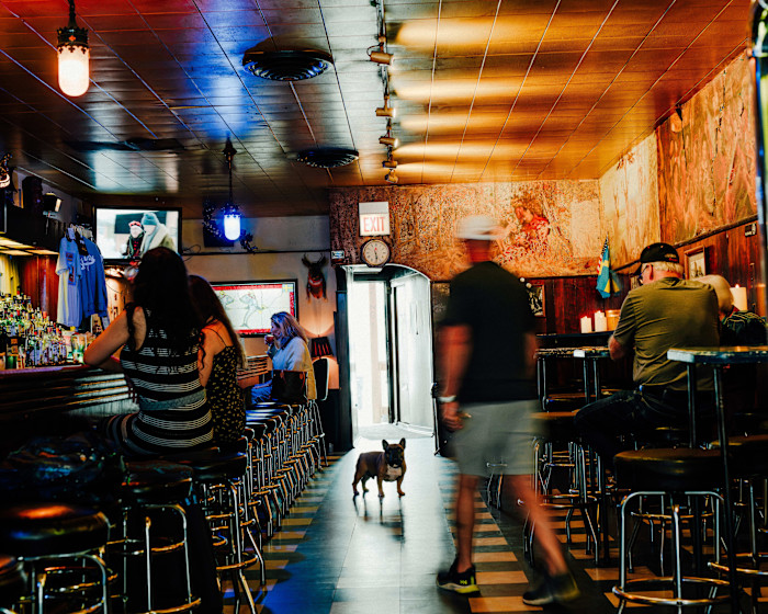 Gatsby, a French Bulldog, stands in the middle of a bar as a man walks away toward the exit.