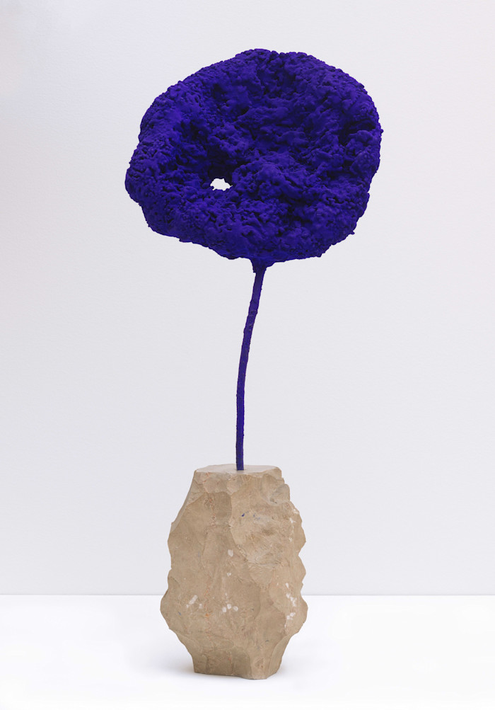 A vivid blue sponge mounted on a thin stem, standing upright in a rough, beige stone base against a plain background.