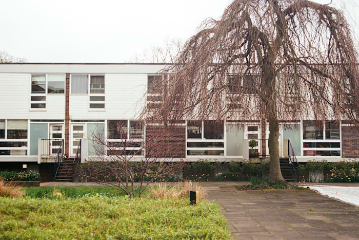 A row of mid-century modern townhouses with large windows, brick and white panel exteriors, and a leafless tree in the foreground.