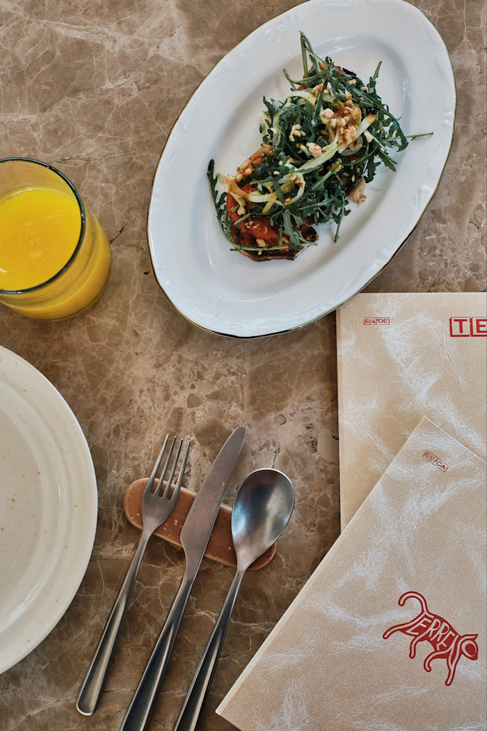 A marble table set with a glass of orange juice, a plate of toast topped with greens and nuts, cutlery, and menus labelled "Terreno".