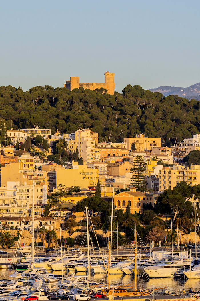Buildings rise above a harbour with trees behind and a castle poking above them