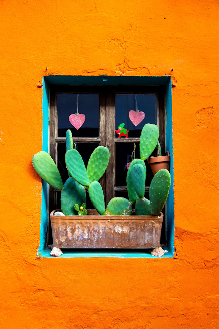 Window with potted cactus plants in a metal container, set in a bright orange wall with blue trim and heart decorations hanging inside.
