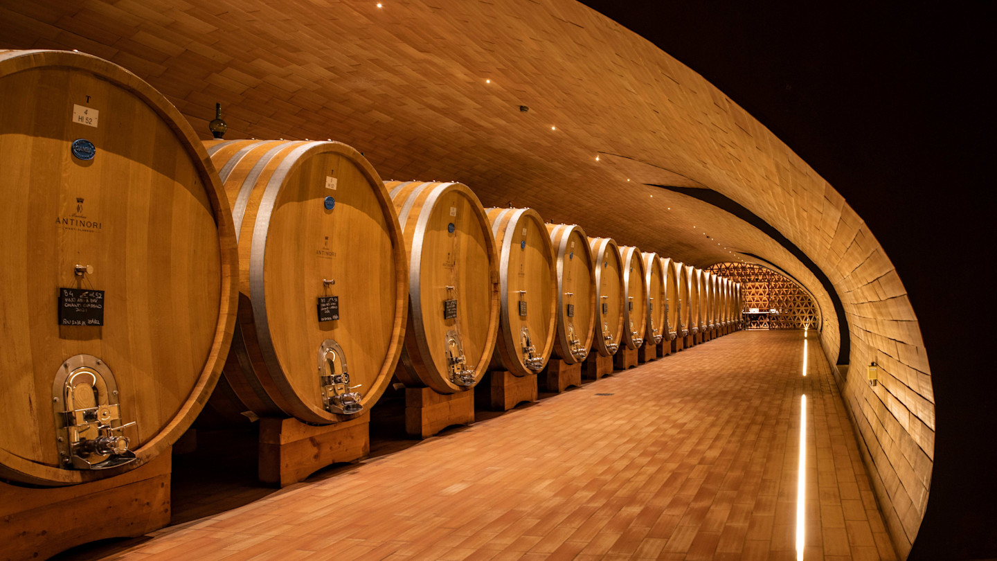 A row of large wooden wine barrels lines a curved, modern cellar at Antinori nel Chianti Classico.