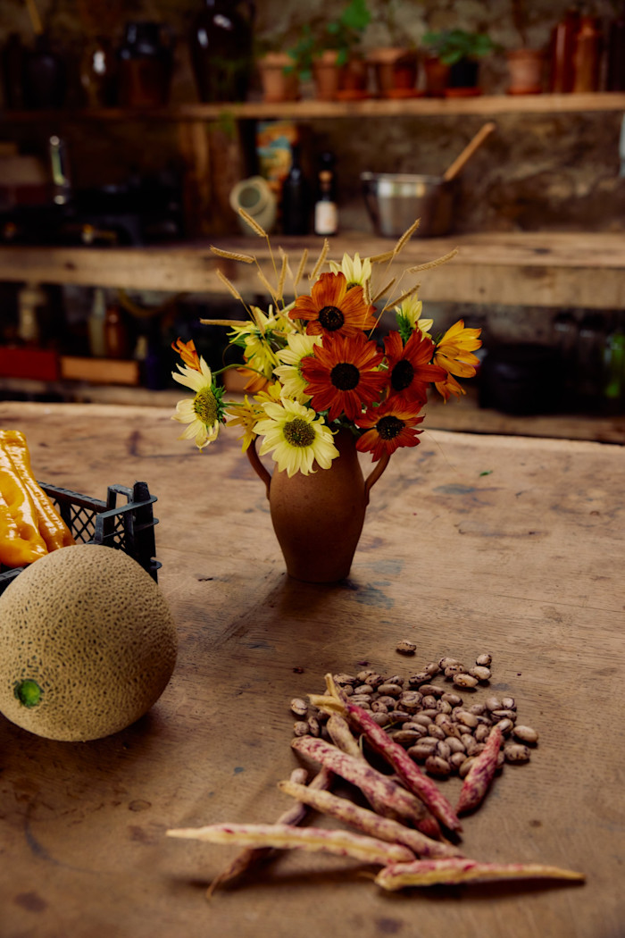 Sunflowers, a melon, peppers and borlotti beans all grown in the garden at Hillside