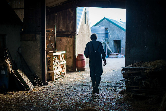 A person in work overalls walks out of a dimly lit barn towards a farmyard at Gubbeen Farm, with firewood and equipment visible inside.