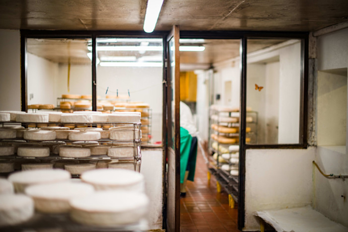 Rounds of cheese ageing on metal racks inside the Gubbeen Farmhouse Cheese dairy. A person in work attire is visible in the background.