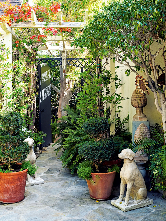 The patio