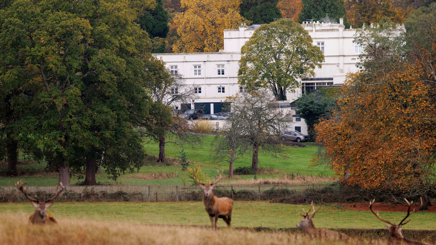 Deer rest in grassy fields with the Royal Lodge, a white mansion surrounded by autumn trees, visible in the background.