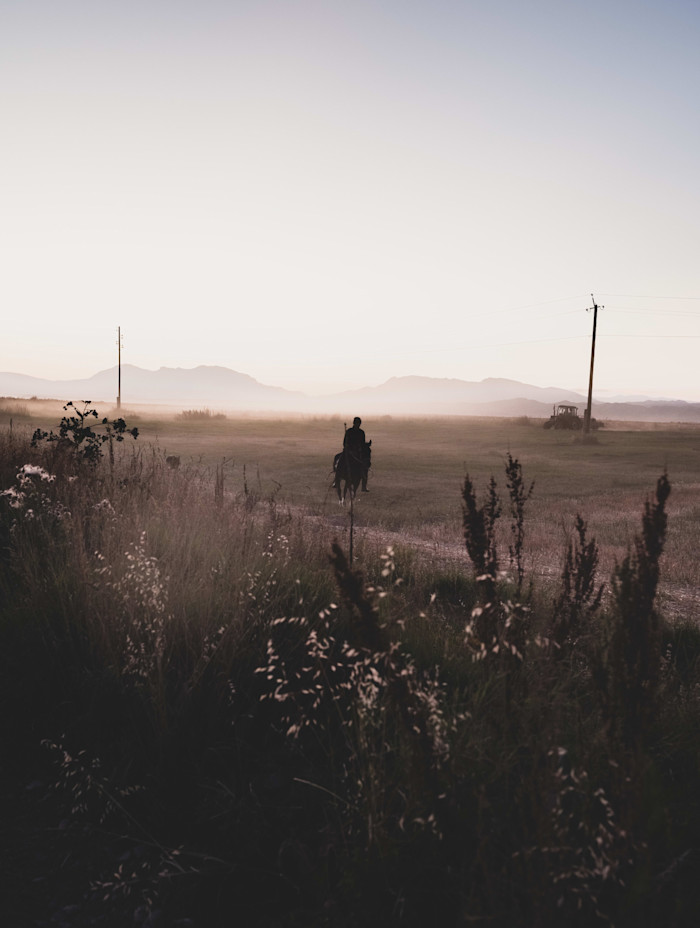 A lone rider on horseback travels along a rural path at dusk, with fields and distant mountains in the background.
