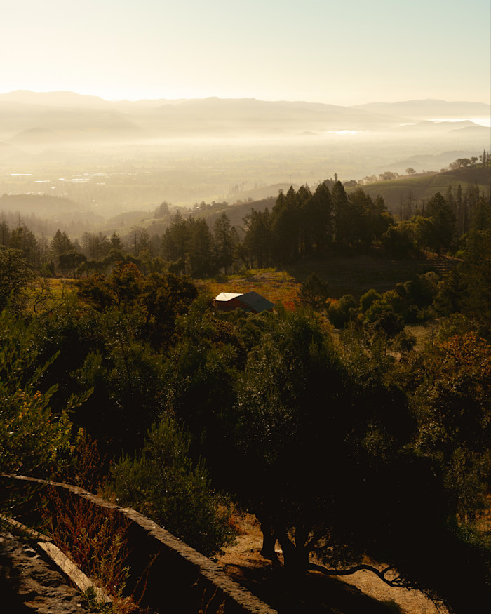 Golden sunlight illuminates a mist-filled valley and distant mountain ridges, with wooded hillsides, a small building and dark trees in the foreground.