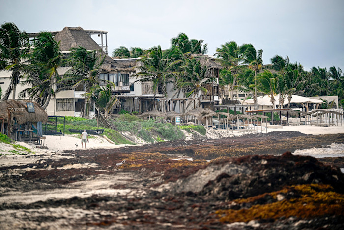 Large piles of brown sargassum seaweed cover the shore in front of beachfront hotels and palm trees in Tulum, Mexico.