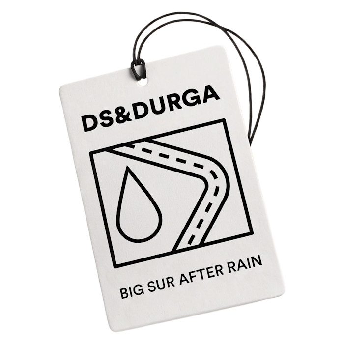 DS & Durga Big Sur After Rain auto fragrance, $18
