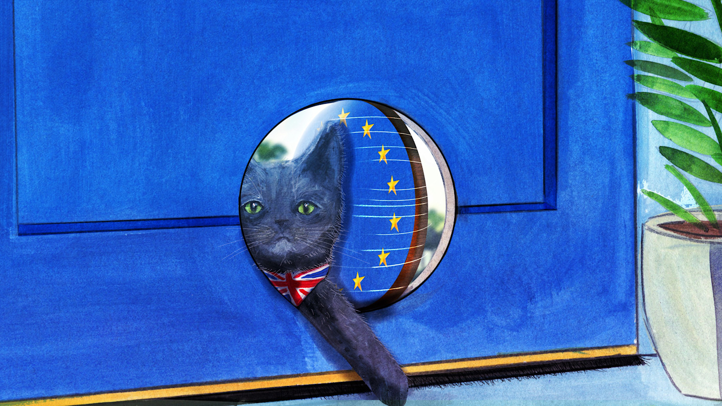 An illustration showing a British Shorthair cat with a Union Jack collar entering through a cat flap decorated with EU stars into a blue room.