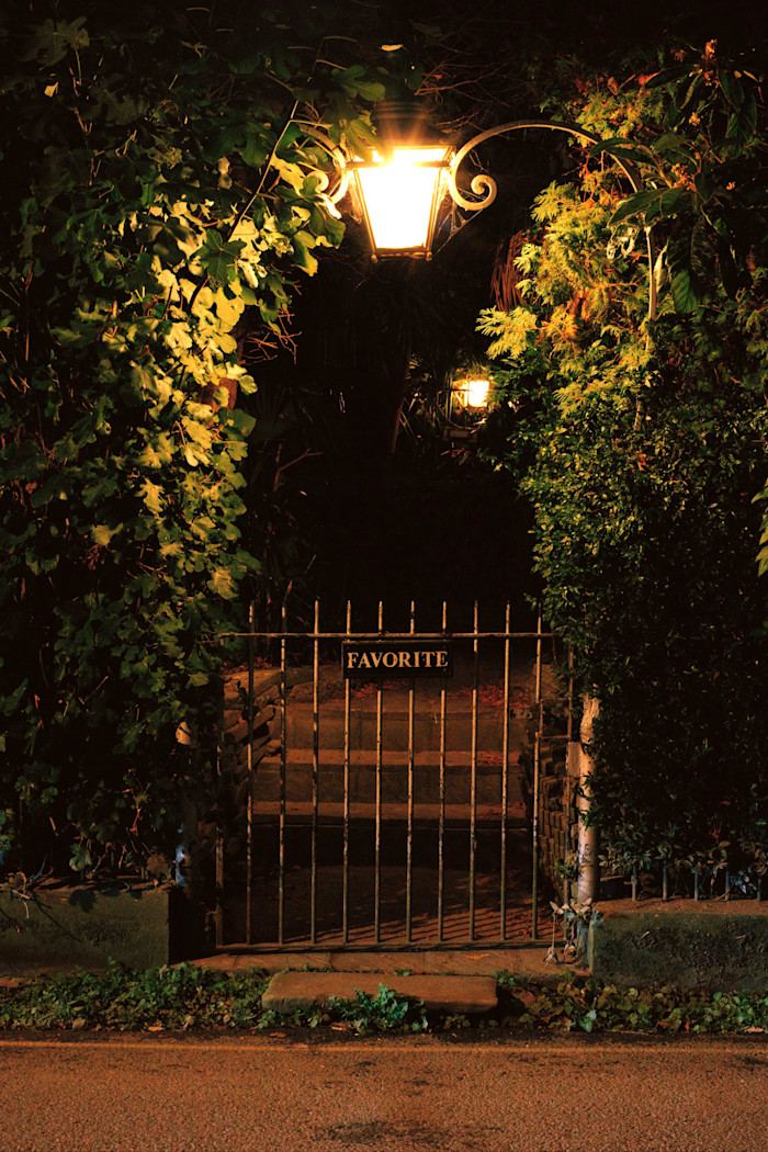 A wrought-iron gate with a sign reading "Favorite" is illuminated by a streetlamp, surrounded by dense greenery at night.